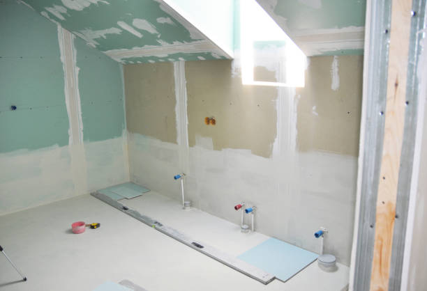 Best Mold Damage Restoration  in Richmond, MN