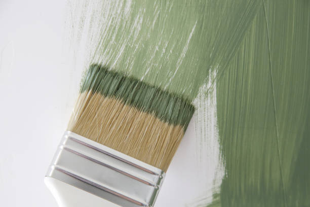 Best Water Damage & Mold Remediation  in Richmond, MN