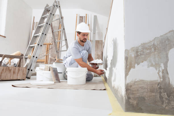 Best Mold Remediation for Healthcare Facilities  in Richmond, MN