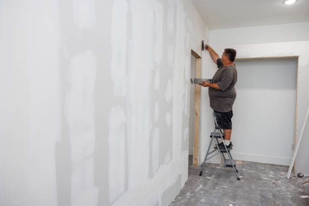 Best Attic Mold Removal  in Richmond, MN