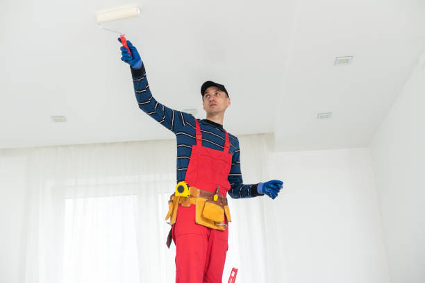 Best Mold Odor Removal Services  in Richmond, MN