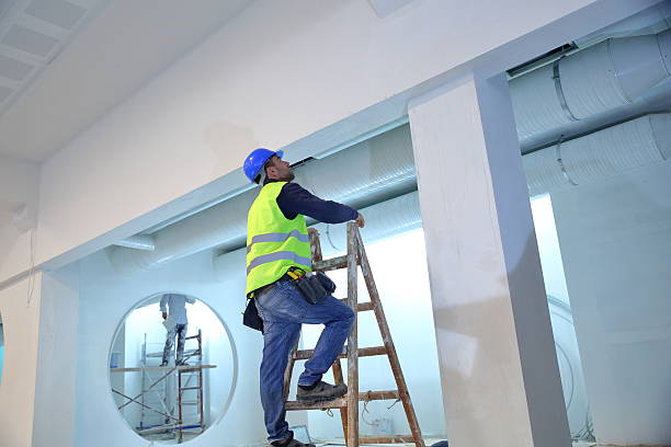 Environmental Consulting for Mold Prevention in Richmond, MN
